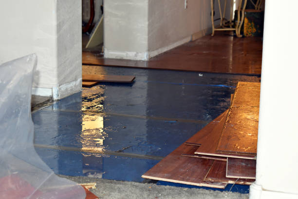Professional Basement Flood Cleanup technician working in Dodd City, TX
